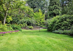 Optimiser l'expérience du jardin à Bourg-d'Oueil